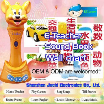 Educational Pen - Educational Product